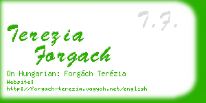 terezia forgach business card